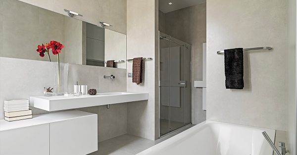 Modern bathroom with two towel bars