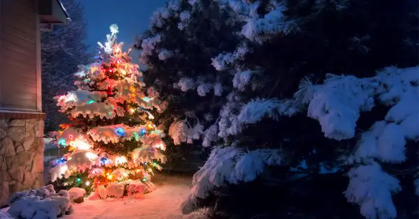 Outdoor Christmas tree with cheap and simple lightning in front of house
